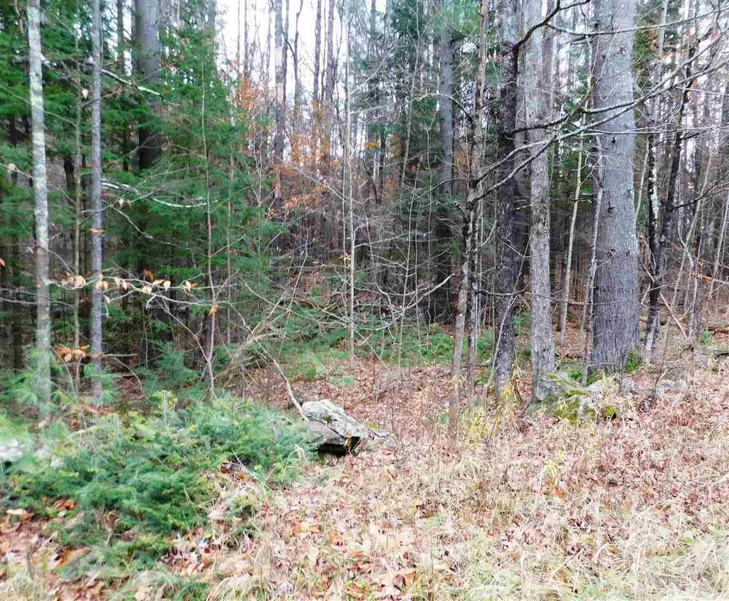 Lot 1 Middletown Road Londonderry VT 05148