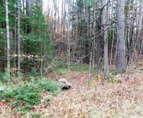 Lot 1 Middletown Road Londonderry VT 05148
