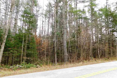 Lot 1 Middletown Road Londonderry VT 05148