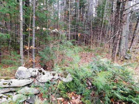 Lot 1 Middletown Road Londonderry VT 05148