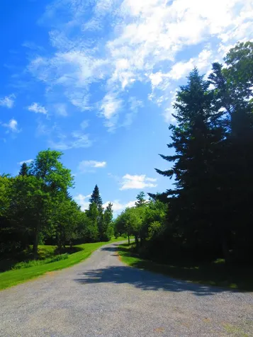 1543 Potter Hill Road Readsboro VT 05350