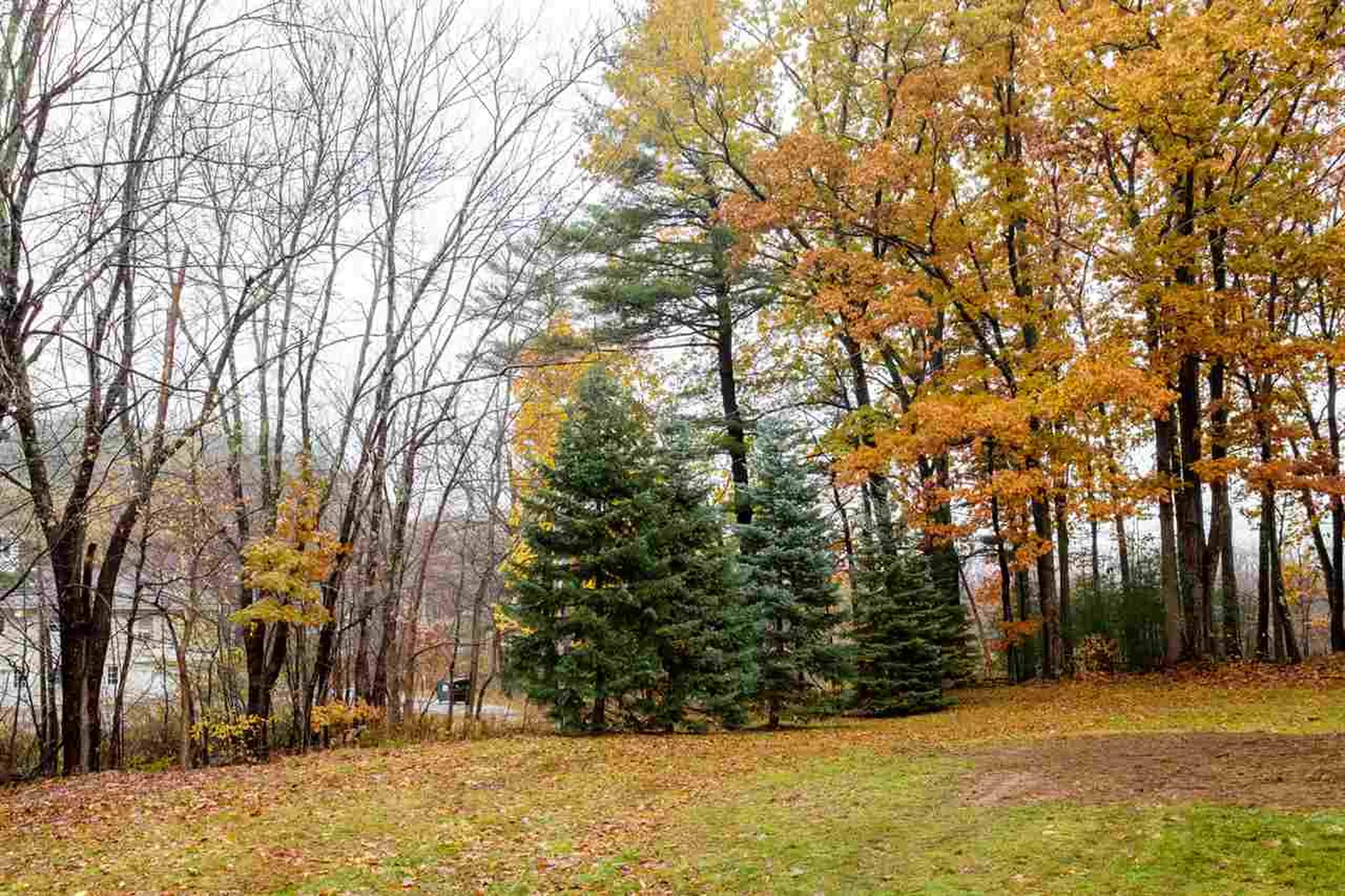 19 Kimberly Drive North Hampton NH 03862