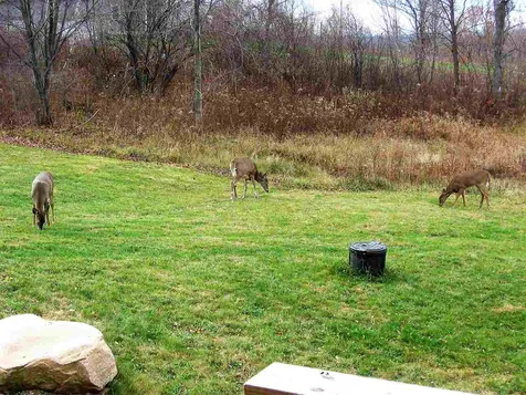 112 Cody Road Milton VT 05468