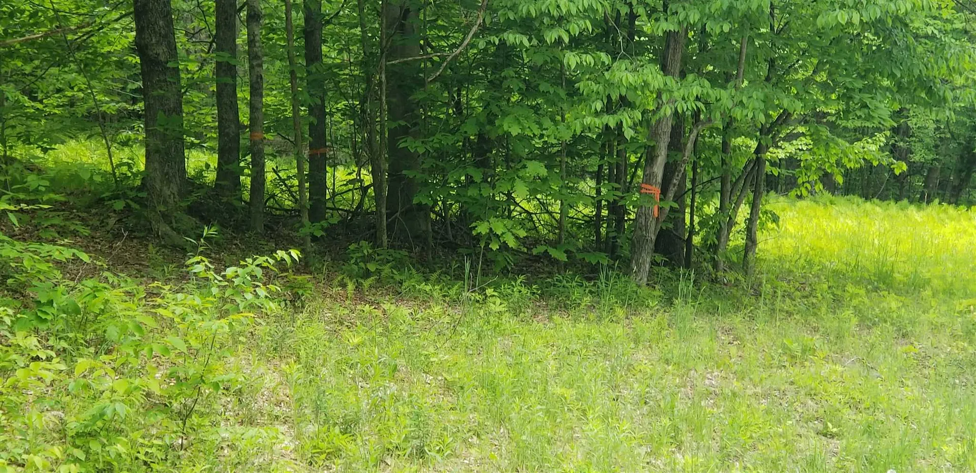 2-62 Goshawk Road Plymouth VT 05056
