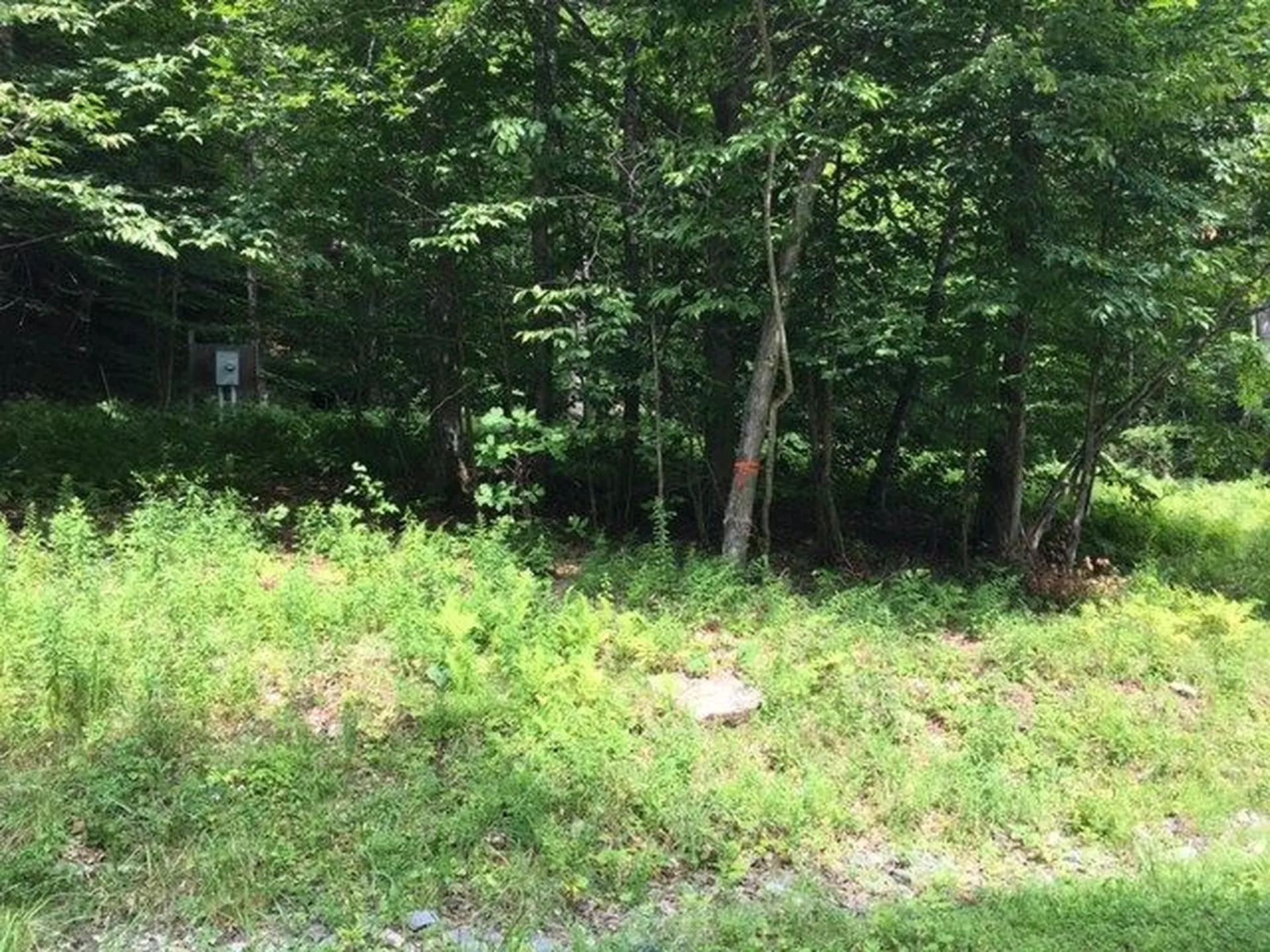 2-62 Goshawk Road Plymouth VT 05056