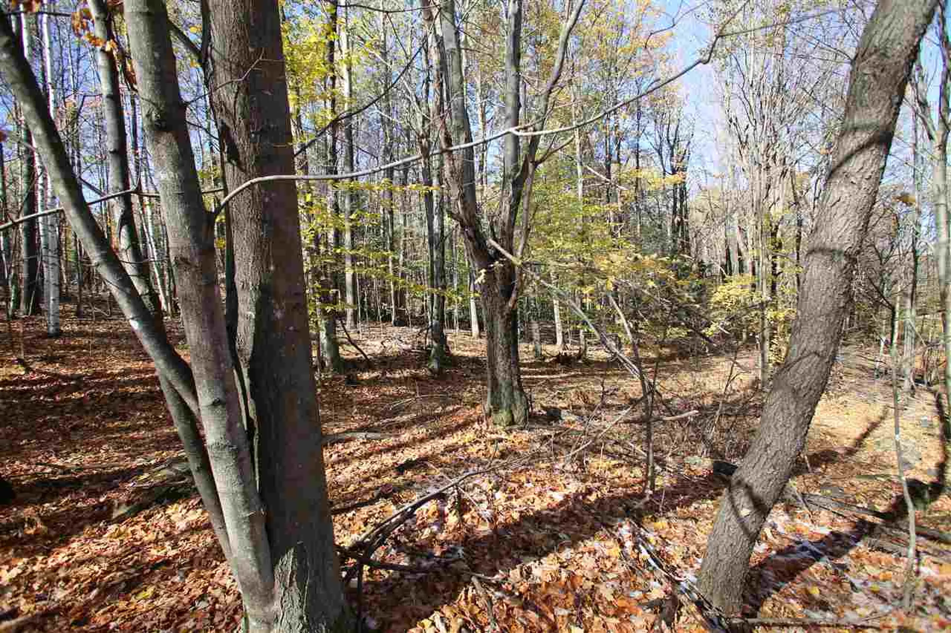 250 Kyle Road St. Albans Town VT 05458