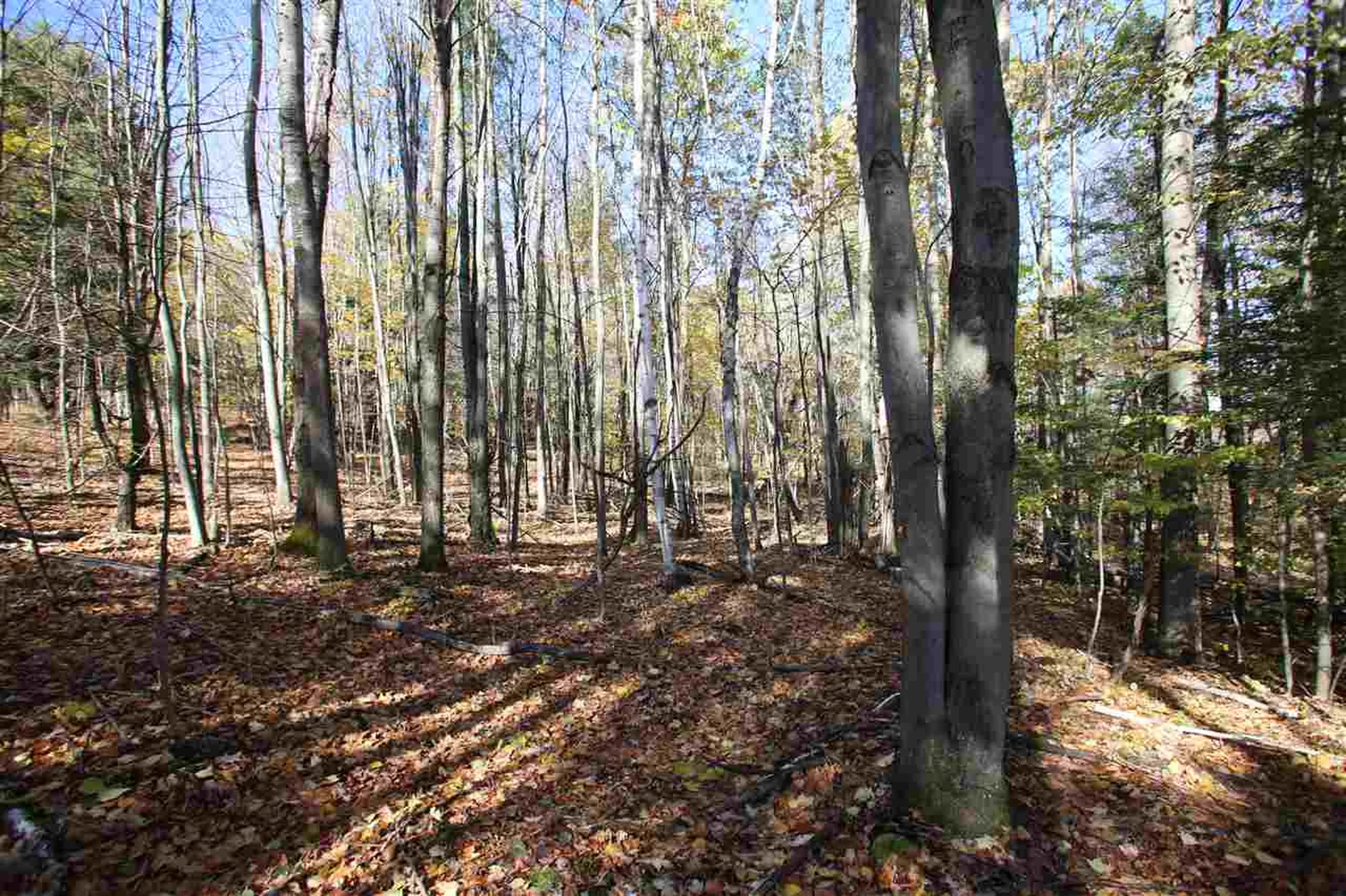 250 Kyle Road St. Albans Town VT 05458
