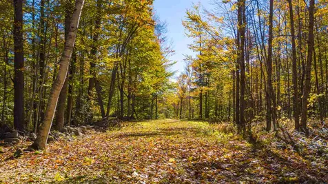 North Wilmot Road Wilmot NH 03287