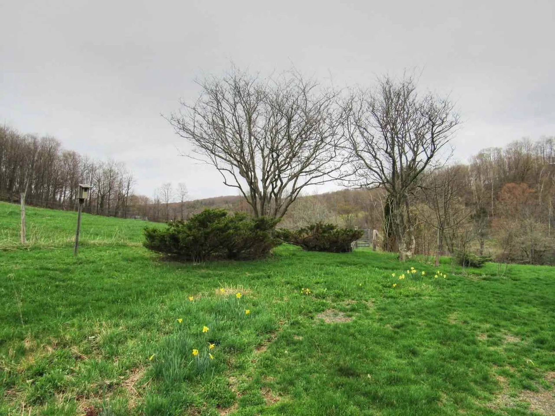 135 New South Farm Road Hinesburg VT 05461