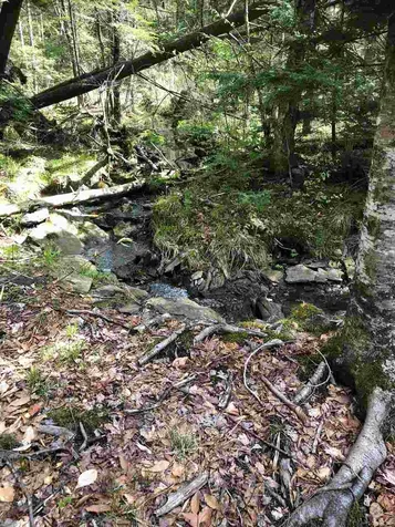 467 Gilsum Mine Road Alstead NH 03602