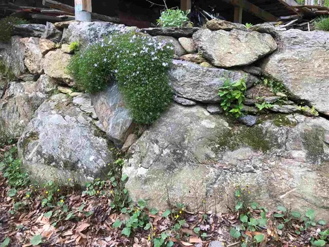 467 Gilsum Mine Road Alstead NH 03602