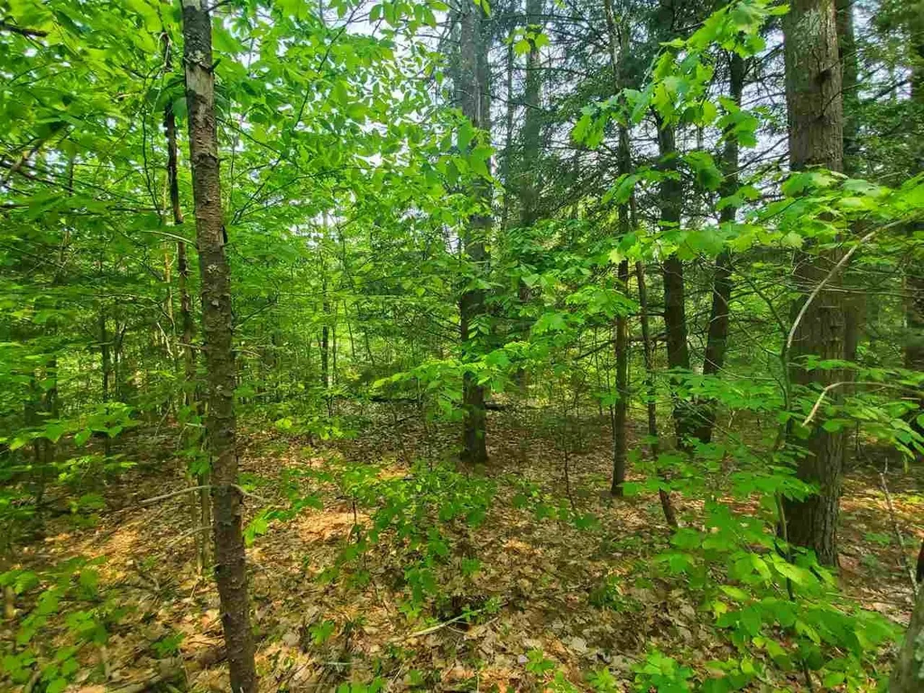 Lot 49-45 Clough Pond Road Loudon NH 03307