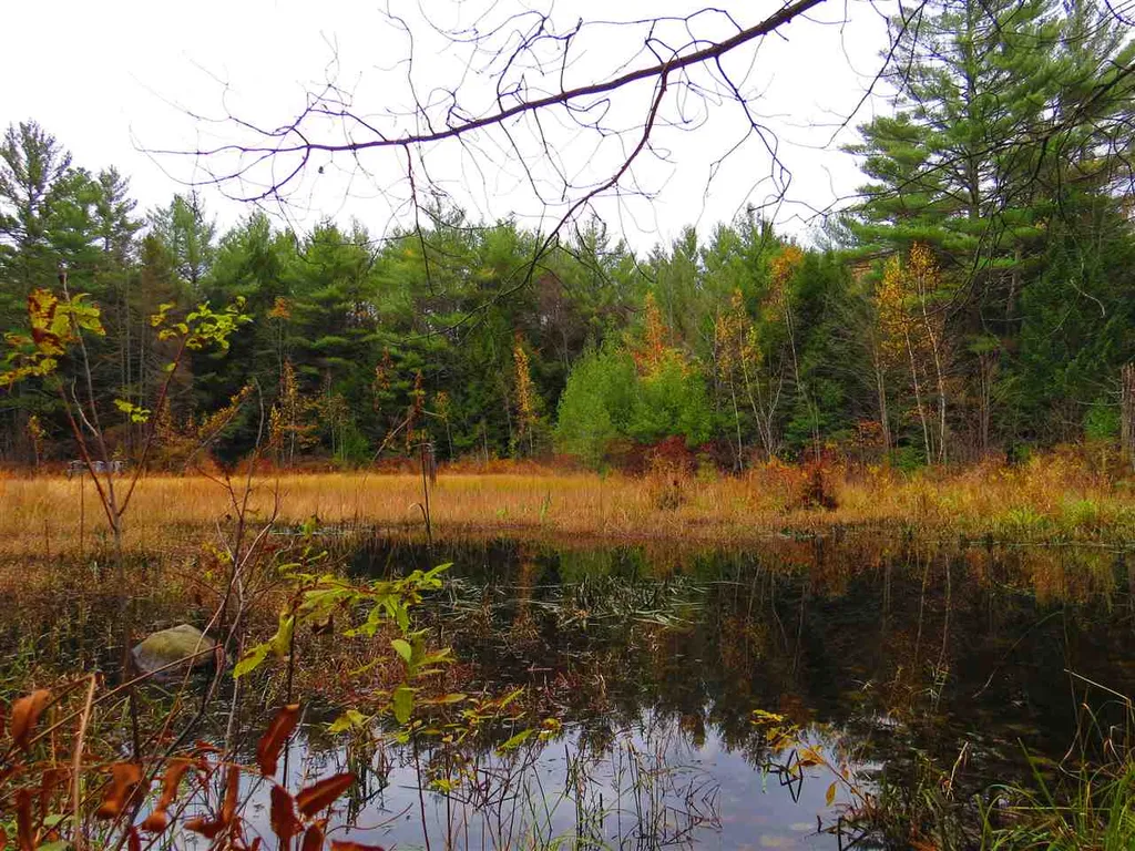 Lot 49-45 Clough Pond Road Loudon NH 03307