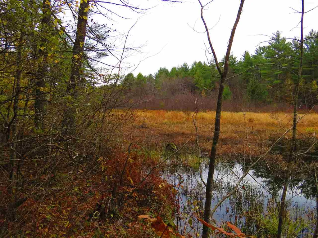Lot 49-45 Clough Pond Road Loudon NH 03307
