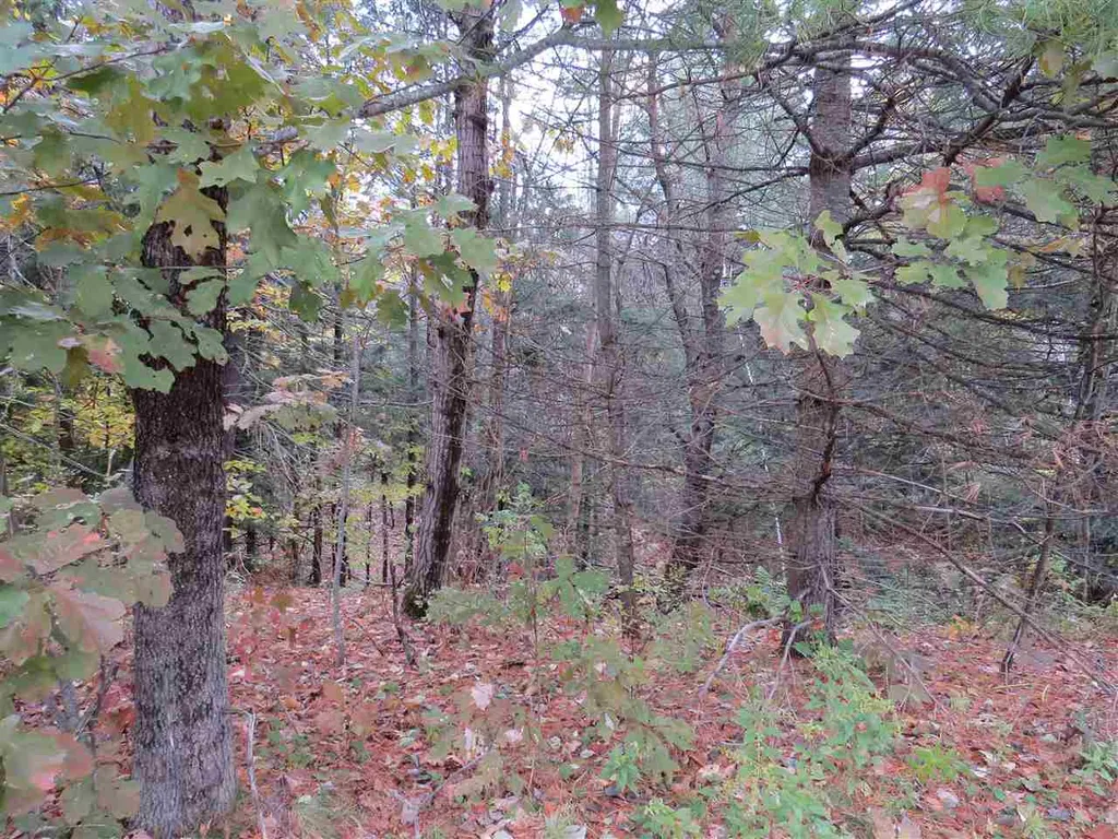 Lot 49-45 Clough Pond Road Loudon NH 03307