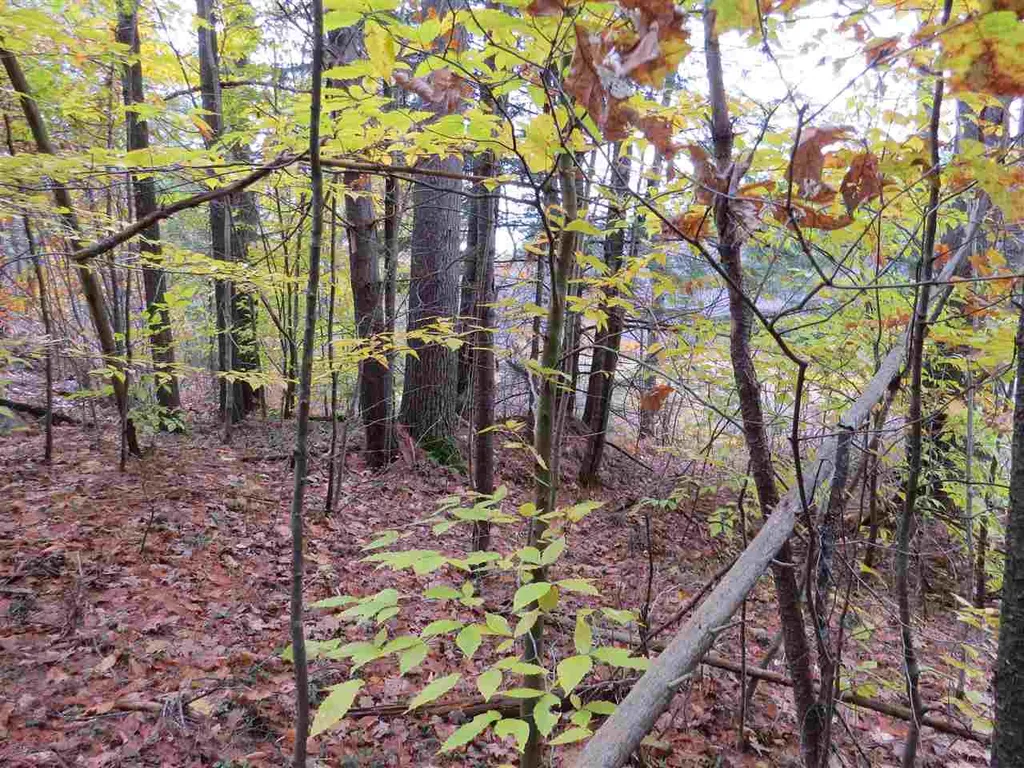 Lot 49-45 Clough Pond Road Loudon NH 03307