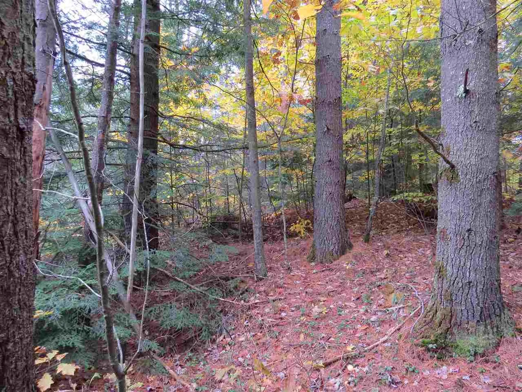 Lot 49-45 Clough Pond Road Loudon NH 03307