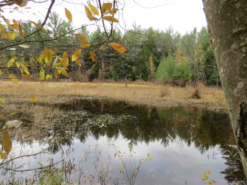 Lot 49-45 Clough Pond Road Loudon NH 03307