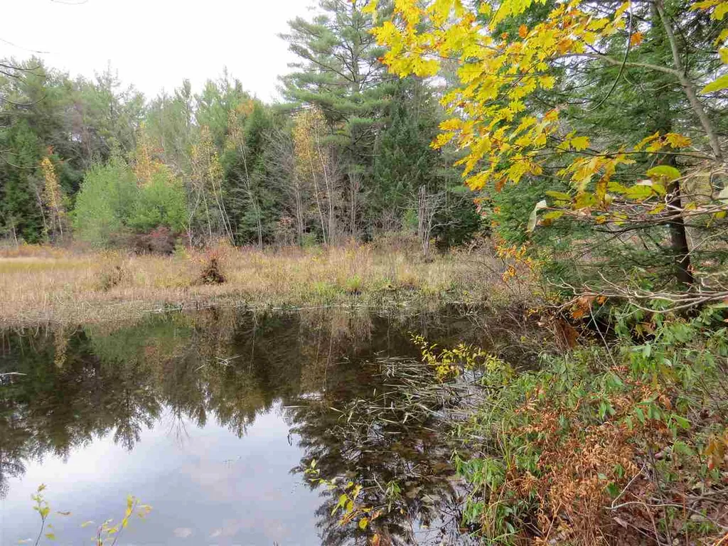 Lot 49-45 Clough Pond Road Loudon NH 03307