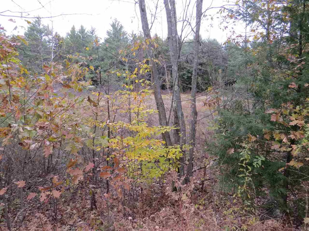 Lot 49-45 Clough Pond Road Loudon NH 03307