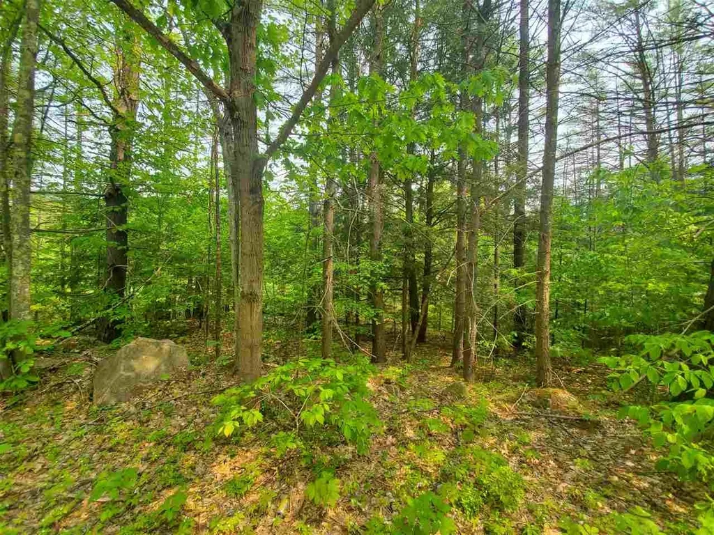 Lot 49-45 Clough Pond Road Loudon NH 03307