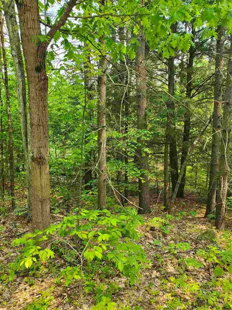 Lot 49-45 Clough Pond Road Loudon NH 03307