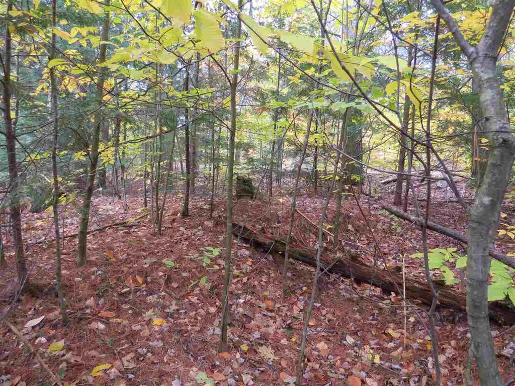 Lot 49-45 Clough Pond Road Loudon NH 03307