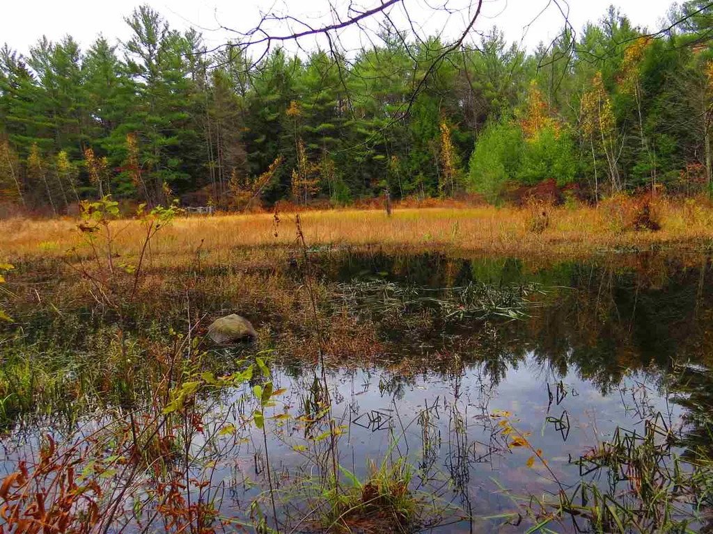 Lot 49-45 Clough Pond Road Loudon NH 03307