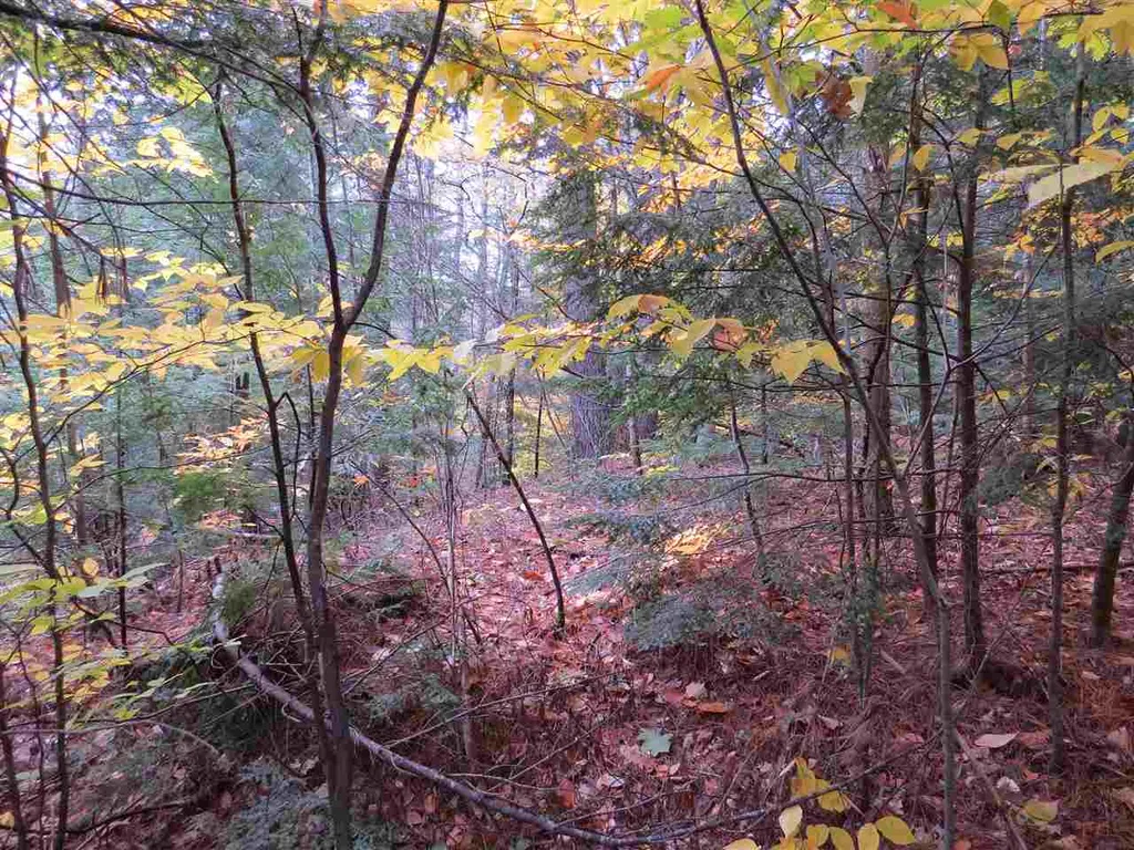 Lot 49-45 Clough Pond Road Loudon NH 03307