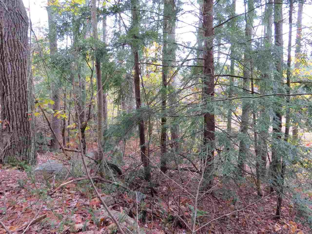 Lot 49-45 Clough Pond Road Loudon NH 03307