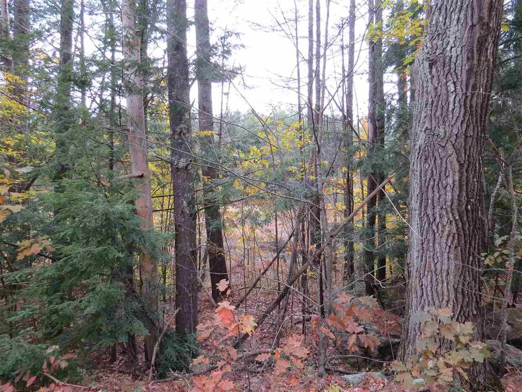 Lot 49-45 Clough Pond Road Loudon NH 03307