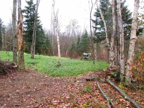 - Row Off Page Road Lowell VT 05847