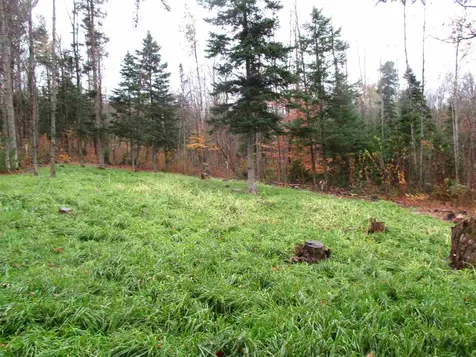 - Row Off Page Road Lowell VT 05847