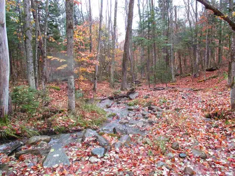 - Row Off Page Road Lowell VT 05847