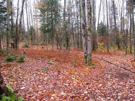 - Row Off Page Road Lowell VT 05847
