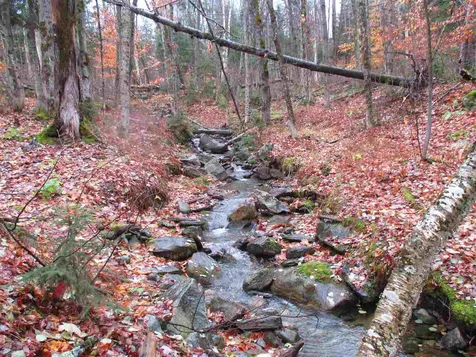 - Row Off Page Road Lowell VT 05847