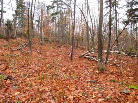 - Row Off Page Road Lowell VT 05847