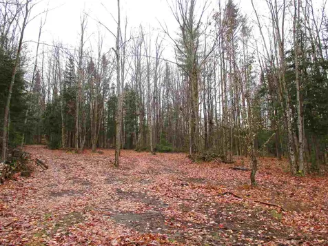 - Row Off Page Road Lowell VT 05847