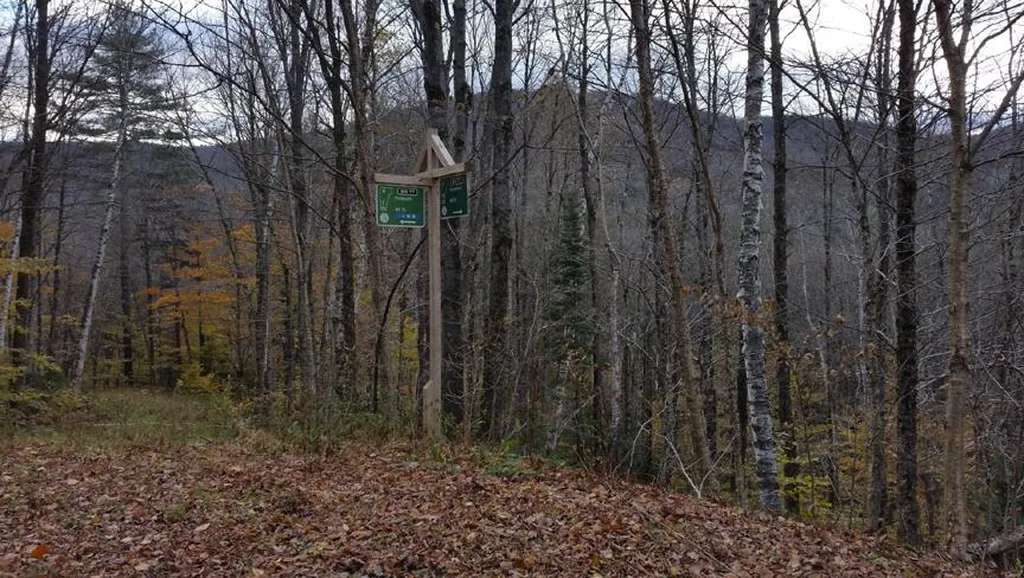 5667 Route 100 Plymouth VT 05056
