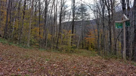 5667 Route 100 Plymouth VT 05056