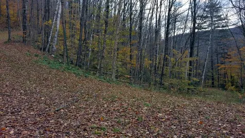 5667 Route 100 Plymouth VT 05056