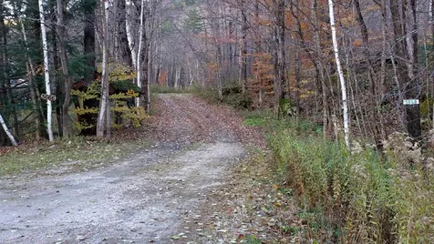5667 Route 100 Plymouth VT 05056
