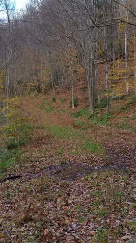 5667 Route 100 Plymouth VT 05056