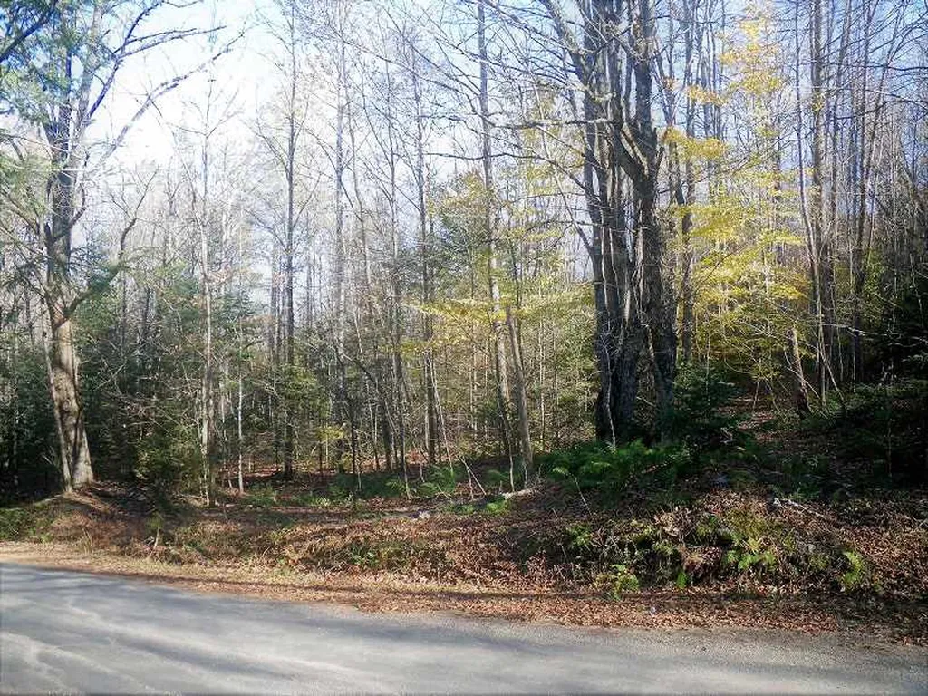 307 Rankin Road Fayston VT 05673