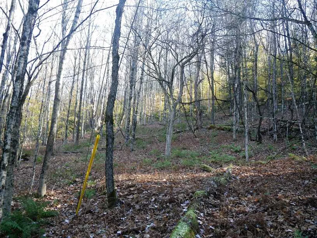 307 Rankin Road Fayston VT 05673