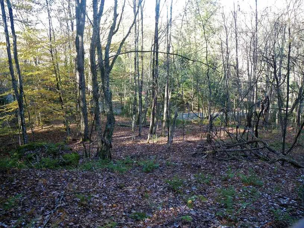 307 Rankin Road Fayston VT 05673