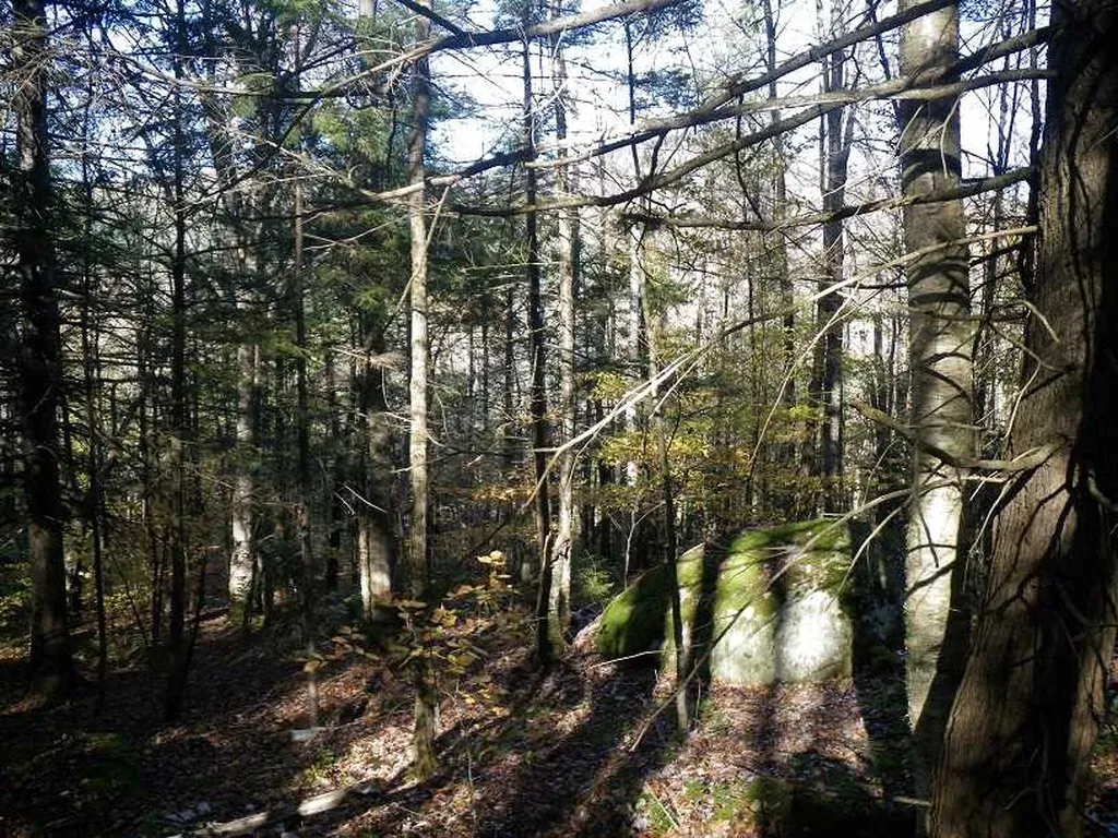 307 Rankin Road Fayston VT 05673