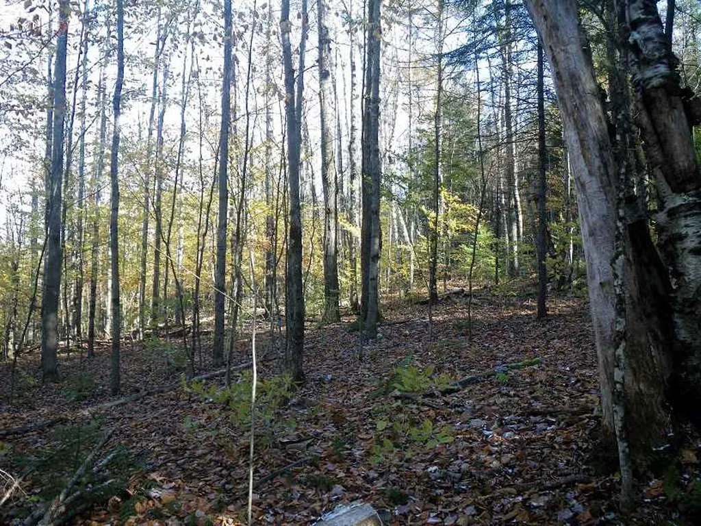 307 Rankin Road Fayston VT 05673