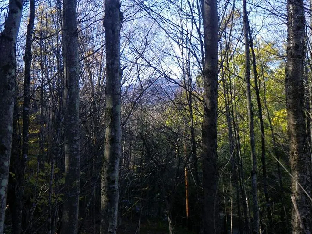 307 Rankin Road Fayston VT 05673