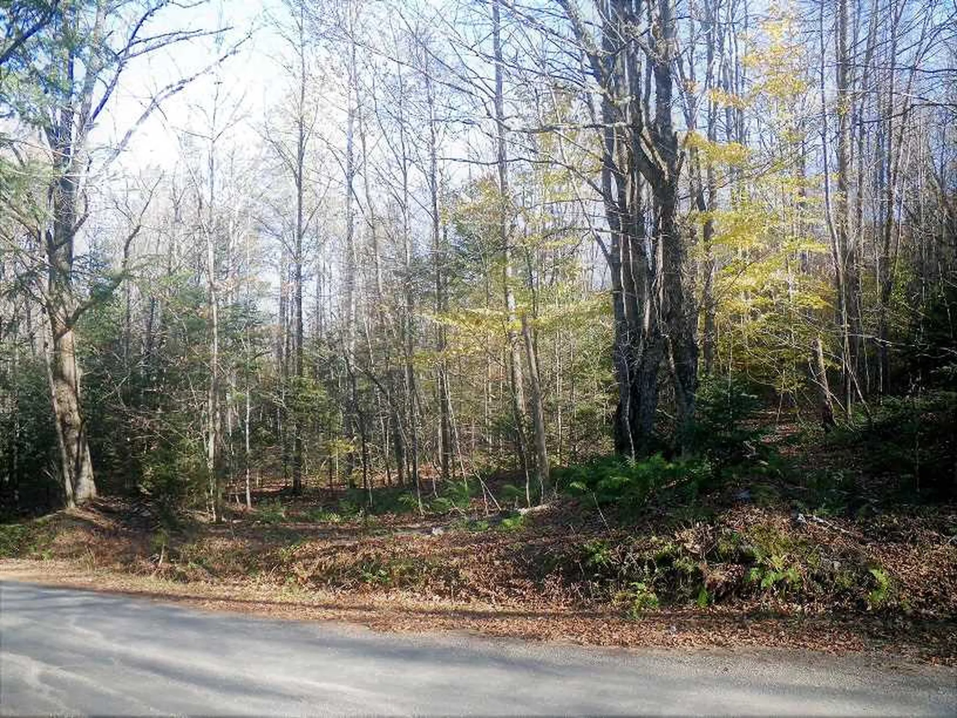 307 Rankin Road Fayston VT 05673